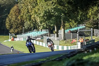 cadwell-no-limits-trackday;cadwell-park;cadwell-park-photographs;cadwell-trackday-photographs;enduro-digital-images;event-digital-images;eventdigitalimages;no-limits-trackdays;peter-wileman-photography;racing-digital-images;snetterton;snetterton-no-limits-trackday;snetterton-photographs;snetterton-trackday-photographs;trackday-digital-images;trackday-photos